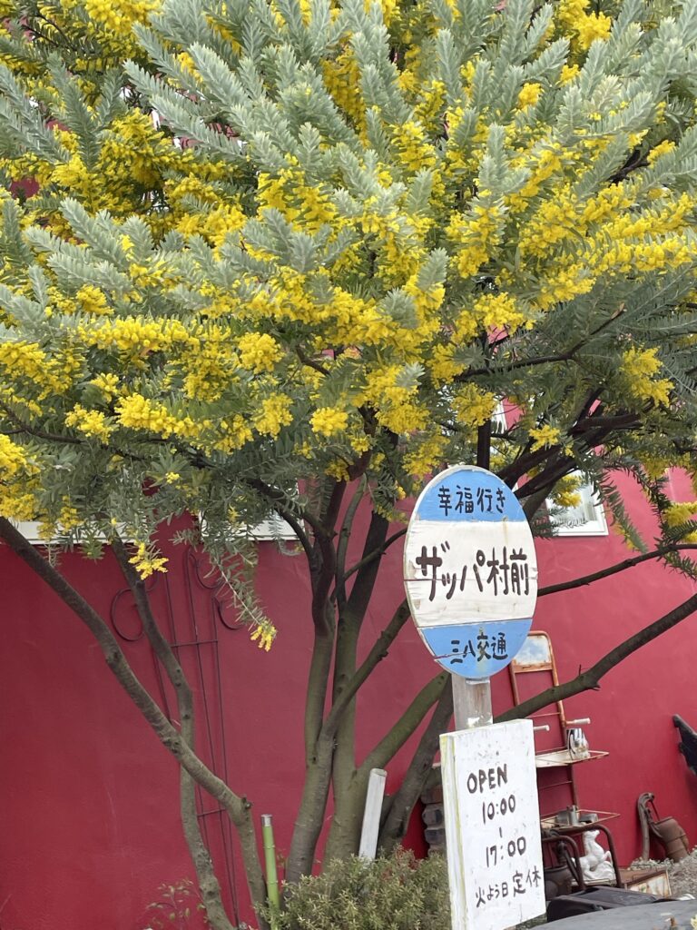 お花に囲まれたザッパ村♡