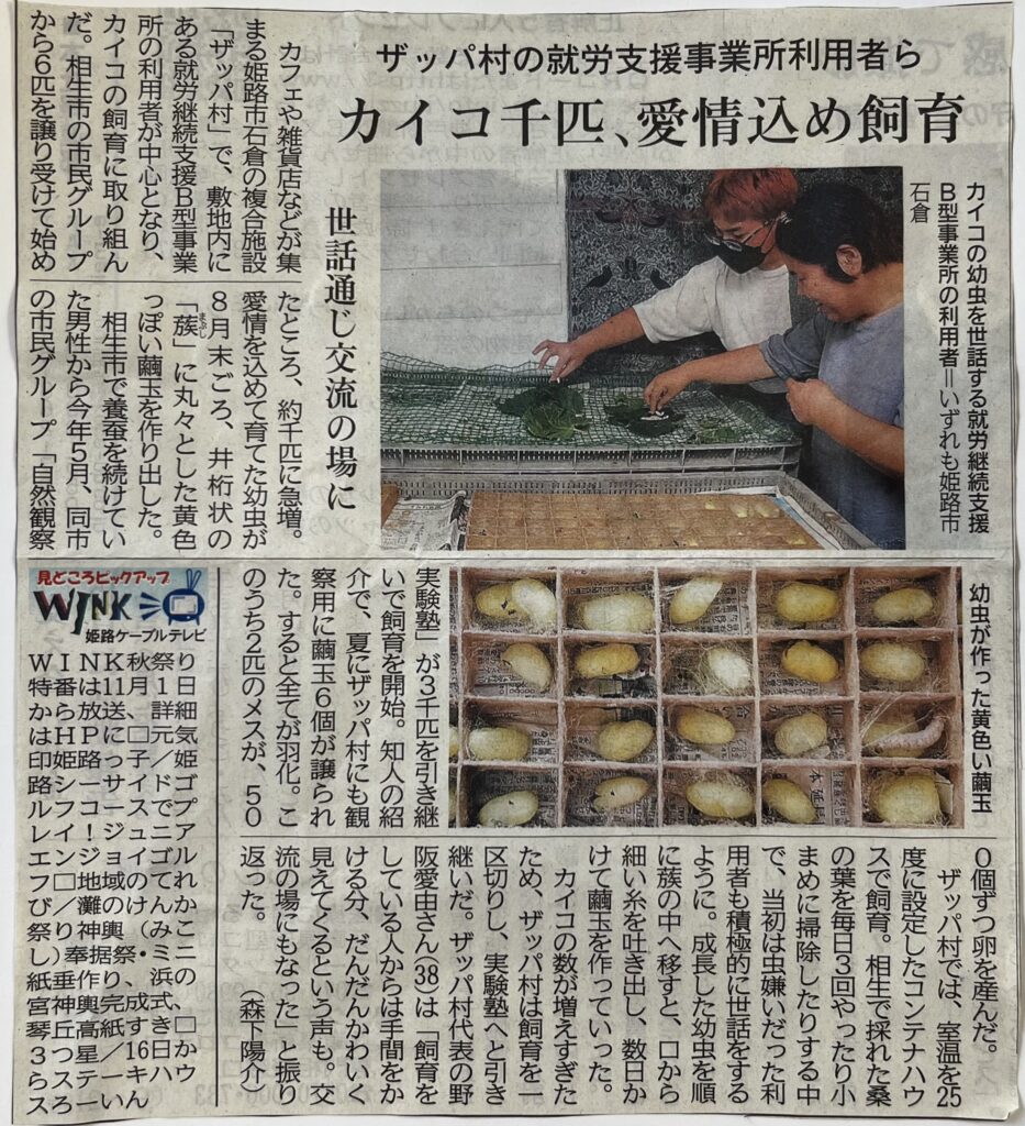 就労継続支援B型事業所による蚕飼育｜新聞｜神戸新聞に掲載されました♪2023