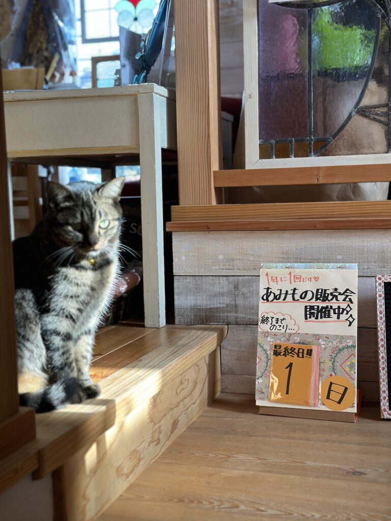 編み物販売会最終日！😭